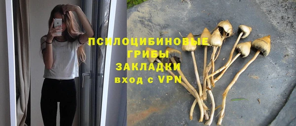 ГАЛЛЮЦИНОГЕННЫЕ ГРИБЫ Балабаново