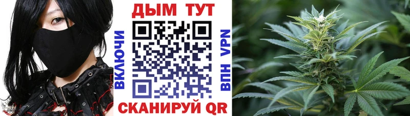 Каннабис индика  kraken ТОР  Чекалин 